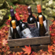 Lekker Wines Wine Bottles