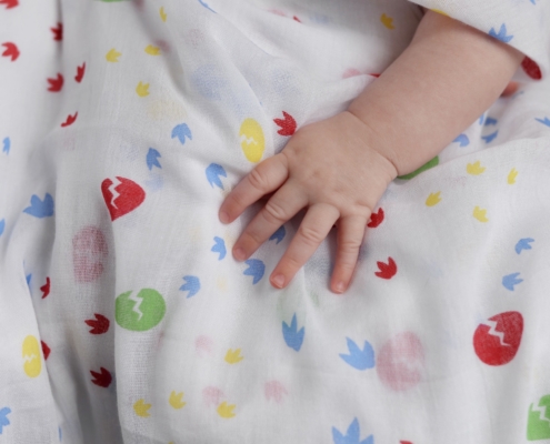 Piccalilly Dino Muslin